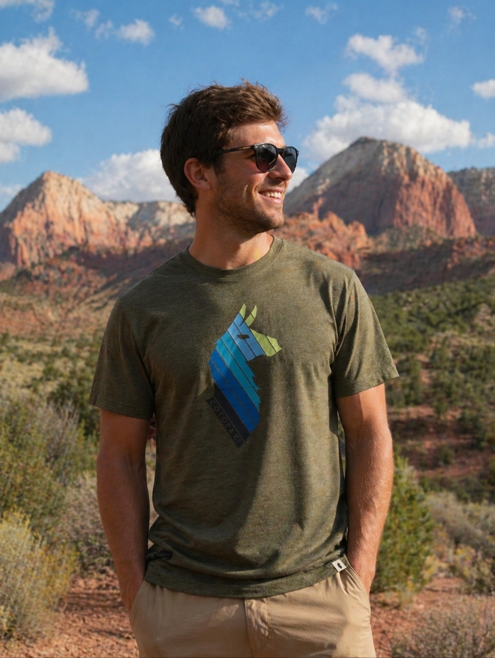 NWT Cotopaxi Llama Stripes Organic T-Shirt-Pine